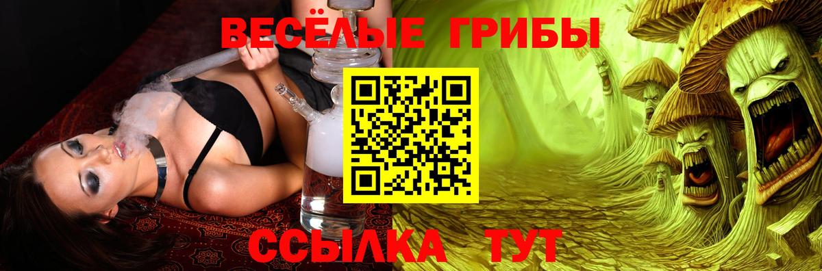 дарнет шоп  Вход с VPN  Псилоцибиновые грибы MAGIC MUSHROOMS  Тобольск  Псилоцибиновые грибы MAGIC MUSHROOMS 